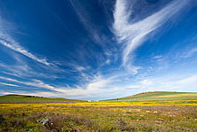 thirds_recovered004002.jpg